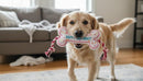 Birthday Bone Dog Toy – Pink Plush Squeaky Tug Rope Toy for Small & Medium Dogs