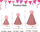 Pink Dog Birthday Hat & Birthday Girl Bandana Set for Small Dogs