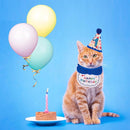 Cat Birthday Hat & Bandana Set – Blue Birthday Boy Kitten Party Outfit