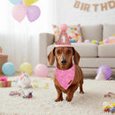 Pink Dog Birthday Hat & Birthday Girl Bandana Set for Small Dogs