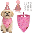 Pink Dog Birthday Hat & Birthday Girl Bandana Set for Small Dogs