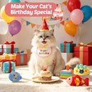 Plush Birthday Catnip Toys for Indoor Cats – 6-Piece Birthday-Themed Cat Toy Set