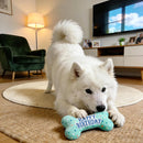 Dog Birthday Toys – Plush Squeaky Bone Toy for Small, Medium & Large Dogs
