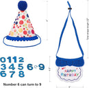 Cat Birthday Hat & Bandana Set – Blue Birthday Boy Kitten Party Outfit