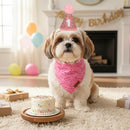 Pink Dog Birthday Hat & Birthday Girl Bandana Set for Small Dogs
