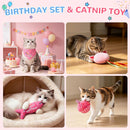 Cat Birthday Decorations Outfit – 5-Piece Catnip Toy & Birthday Party Set for Indoor Cats