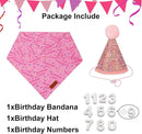 Pink Dog Birthday Hat & Birthday Girl Bandana Set for Small Dogs