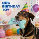 Dog Birthday Toys – Plush Squeaky Bone Toy for Small, Medium & Large Dogs