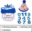 Cat Birthday Hat & Bandana Set – Blue Birthday Boy Kitten Party Outfit
