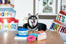 Birthday Bone Dog Toy – Pink Plush Squeaky Tug Rope Toy for Small & Medium Dogs