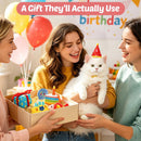 Plush Birthday Catnip Toys for Indoor Cats – 6-Piece Birthday-Themed Cat Toy Set