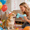 Dog Birthday Toys – Plush Squeaky Bone Toy for Small, Medium & Large Dogs